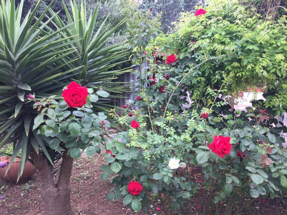 Il Giardino Della Foglia Hotell Bari Eksteriør bilde